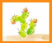 Coffee Bean Cactus Card
